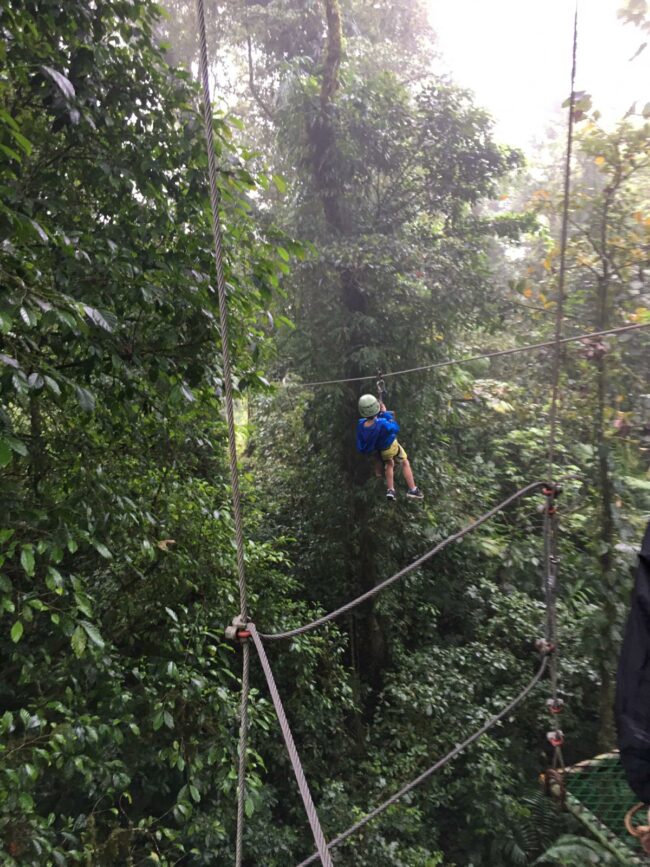 WhatsApp Image 2020-03-01 at 18.39.56