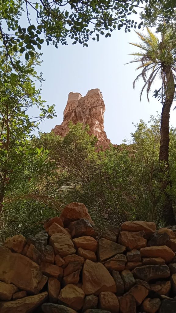 10 jours en famille au Maroc