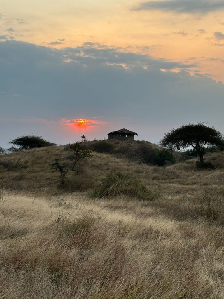 Tanzanie : safaris, Ngorongoro, Serengeti et Zanzibar