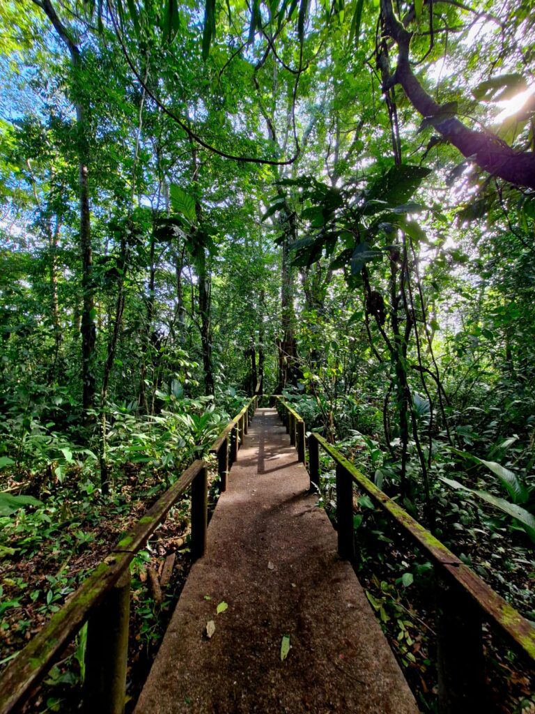 Voyage familial de 22 jours au Costa Rica – nature, aventure et biodiversité