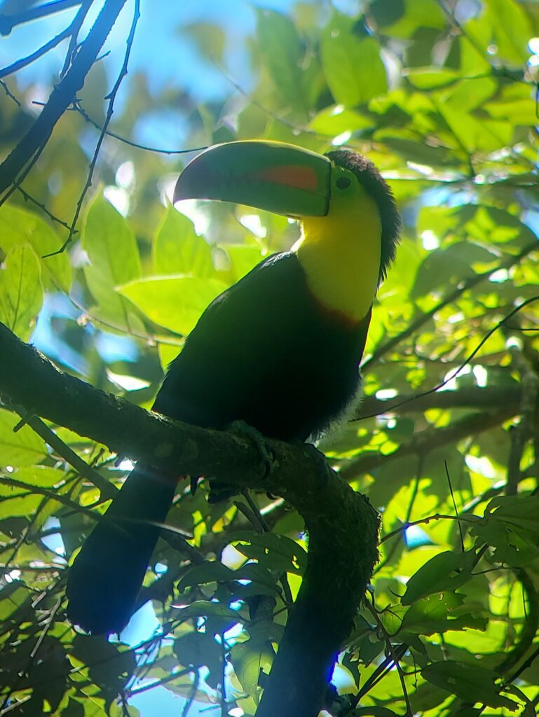 Costa Rica hors saison : un voyage plein de surprises