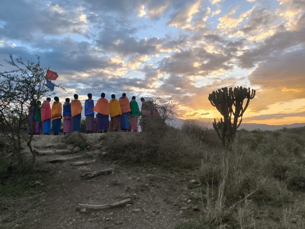Safari inoubliable en Tanzanie : entre lions, Masaï et Zanzibar